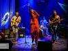 wardpalmen-10
