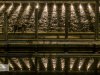 pulspark-18